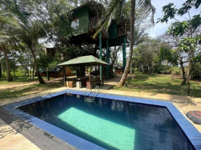 Yala Eco Tree House New